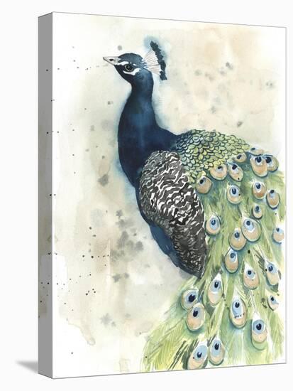 Watercolor Peacock Portrait II-Grace Popp-Stretched Canvas