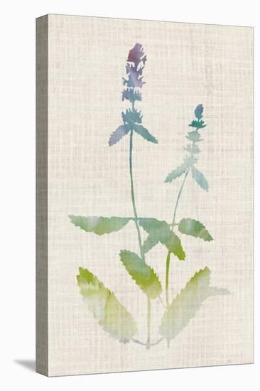 Watercolor Plants IV-Naomi McCavitt-Stretched Canvas