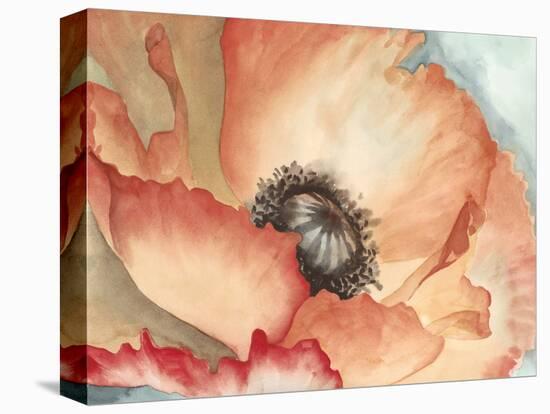 Watercolor Poppy II-Megan Meagher-Stretched Canvas