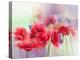 Watercolor Red Poppy Flowers Painting. Flower Paint in Soft Color and Blur Style, Soft Green and Pu-pluie_r-Stretched Canvas