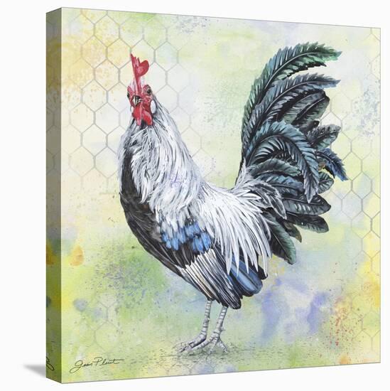 Watercolor Rooster-C-Jean Plout-Premier Image Canvas