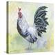 Watercolor Rooster-C-Jean Plout-Premier Image Canvas