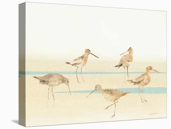 Watercolor Sandpipers I-Avery Tillmon-Stretched Canvas