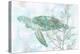 Watercolor Sea Turtle II-Studio W-Stretched Canvas
