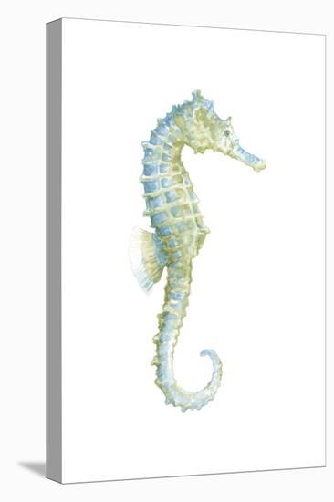 Watercolor Seahorse I-Megan Meagher-Stretched Canvas