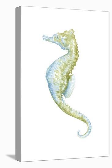 Watercolor Seahorse II-Megan Meagher-Stretched Canvas