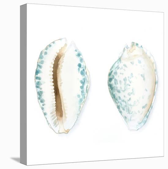 Watercolor Shells VI-Megan Meagher-Stretched Canvas