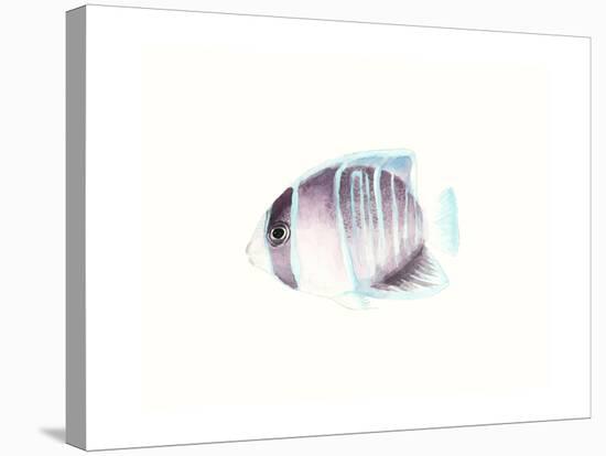 Watercolor Tropical Fish III-Naomi McCavitt-Stretched Canvas