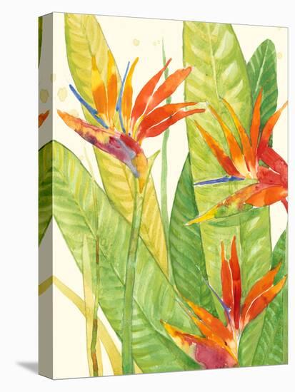 Watercolor Tropical Flowers III-Tim OToole-Stretched Canvas