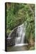 Waterfall Along the Trail to Queens Bath, Lihue, Kauai, Hawaii, USA-Richard Duval-Premier Image Canvas