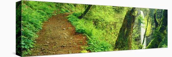 Waterfall and Hiking Trail, Latourell Falls, Columbia River Gorge, Oregon, USA-null-Premier Image Canvas