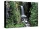 Waterfall and Lush Foliage, Mt. Rainier National Park, Washington, USA-Gavriel Jecan-Premier Image Canvas