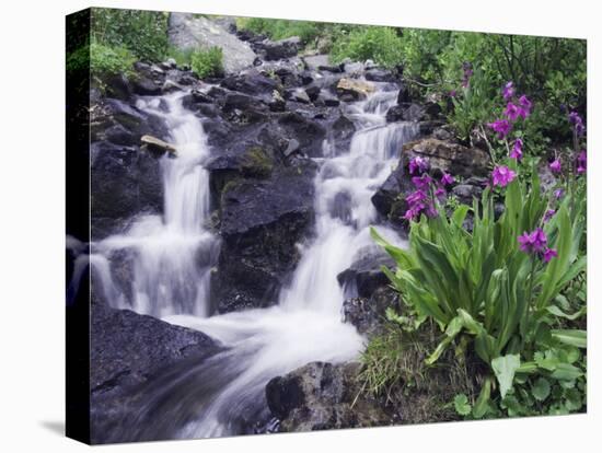 Waterfall and Wildflowers, Ouray, San Juan Mountains, Rocky Mountains, Colorado, USA-Rolf Nussbaumer-Premier Image Canvas
