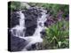 Waterfall and Wildflowers, Ouray, San Juan Mountains, Rocky Mountains, Colorado, USA-Rolf Nussbaumer-Premier Image Canvas