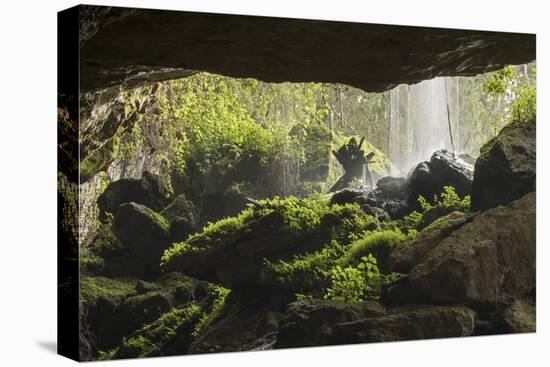 Waterfall at mouth of Kitum cave Mt. Elgon National park, Kenya, August 2017.-John Cancalosi-Premier Image Canvas