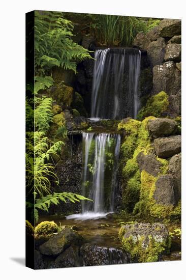 Waterfall, Crystal Springs Rhododendron Garden, Portland, Oregon, USA-Michel Hersen-Premier Image Canvas