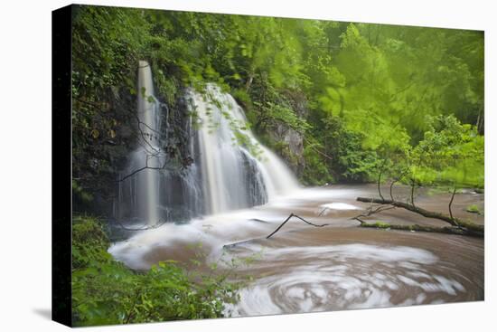 Waterfall, Fairy Glen Rspb Reserve, Inverness-Shire, Scotland, UK, May-Peter Cairns-Premier Image Canvas