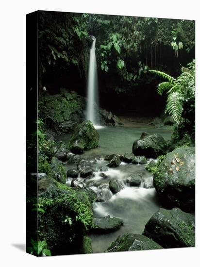 Waterfall Flowing into the Emerald Pool, Dominica, West Indies, Central America-James Gritz-Premier Image Canvas