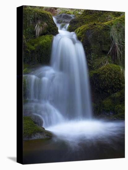 Waterfall, Glen Artney, Near Crieff, Perthshire, Scotland, United Kingdom, Europe-Jeremy Lightfoot-Premier Image Canvas