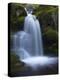 Waterfall, Glen Artney, Near Crieff, Perthshire, Scotland, United Kingdom, Europe-Jeremy Lightfoot-Premier Image Canvas