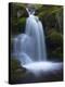 Waterfall, Glen Artney, Near Crieff, Perthshire, Scotland, United Kingdom, Europe-Jeremy Lightfoot-Premier Image Canvas