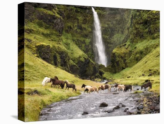 Waterfall Horses II-PHBurchett-Premier Image Canvas