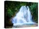 Waterfall I-Howard Ruby-Premier Image Canvas