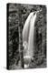Waterfall I-Brian Moore-Premier Image Canvas