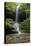 Waterfall in a forest, Ferne Clyffe State Park, Johnson County, Illinois, USA-Panoramic Images-Premier Image Canvas