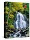 Waterfall in a forest, Moss Glen Falls, 3873 Route 100, Granville Reservation State Park, Granvi...-null-Premier Image Canvas