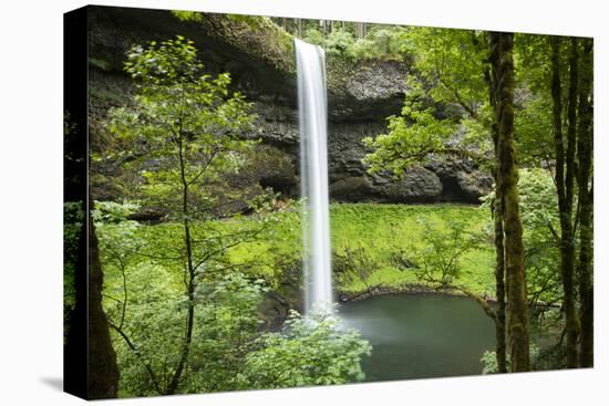 Waterfall in a forest, Samuel H. Boardman State Scenic Corridor, Pacific Northwest, Oregon, USA-Panoramic Images-Premier Image Canvas