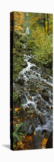 Waterfall in a Forest, Wahkeena Falls, Columbia River Gorge, Multnomah County, Oregon, USA-null-Premier Image Canvas