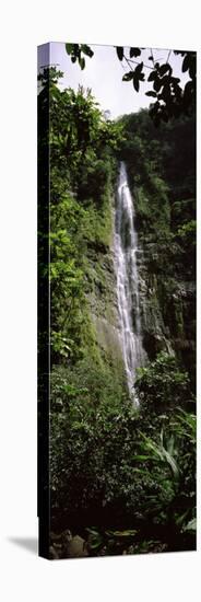 Waterfall in a Forest, Waimoku Falls, Haleakala National Park, Maui, Hawaii, USA-null-Premier Image Canvas