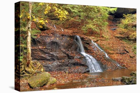 Waterfall In Autumn-5fishcreative-Premier Image Canvas