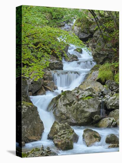 Waterfall in gorge of Gaisalpbach near Oberstdorf in the Allgau. Germany, Bavaria-Martin Zwick-Premier Image Canvas