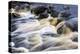 Waterfall in Hull Pot Beck-Mark Sunderland-Premier Image Canvas