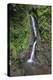 Waterfall in Mistico Hanging Bridges Park, Costa Rica.-Michele Niles-Premier Image Canvas