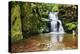 Waterfall in Resov in Moravia, Czech Republic-TTstudio-Premier Image Canvas