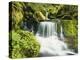 Waterfall in Willamette National Forest, Oregon, USA-Stuart Westmoreland-Premier Image Canvas