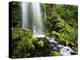 Waterfall, Mt Hood National Forest, Columbia Gorge Scenic Area, Oregon, USA-Stuart Westmorland-Premier Image Canvas