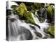 Waterfall, Olympic National Park, Washington, USA-Tom Norring-Premier Image Canvas