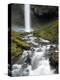 Waterfall, Oregon, United States of America, North America-Colin Brynn-Premier Image Canvas