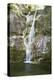 Waterfall, Rock, Cascades-Jurgen Ulmer-Premier Image Canvas