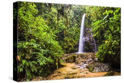Waterfall San Vincente In An Area Of Jungle Called Mashpi Cloud Forest In The Choco Rainforest Photographic Print Matthew Williams Ellis Art Com