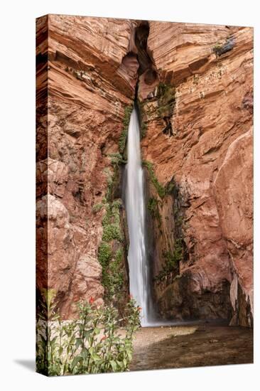 Waterfall. Tributary to Colorado River. Grand Canyon. Arizona. USA-Tom Norring-Premier Image Canvas