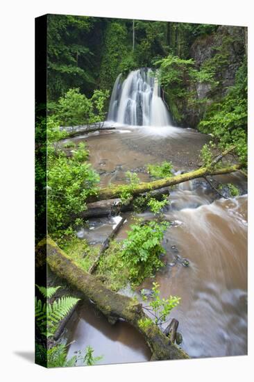 Waterfall with a Fallen Tree, Fairy Glen Rspb Reserve, Inverness-Shire, Scotland, UK, July-Peter Cairns-Premier Image Canvas