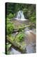 Waterfall with a Fallen Tree, Fairy Glen Rspb Reserve, Inverness-Shire, Scotland, UK, July-Peter Cairns-Premier Image Canvas