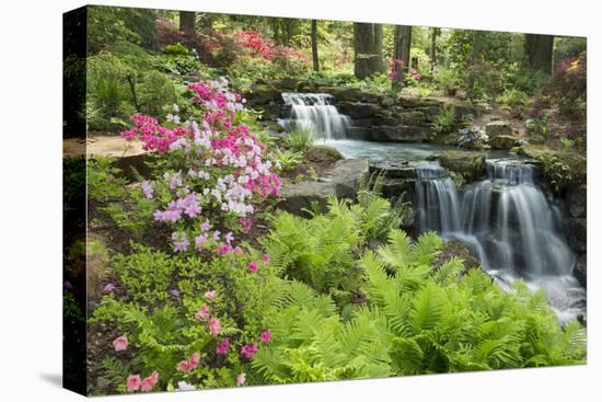 Waterfall with Ferns and Azaleas at Azalea Path Arboretum and Botanical Gardens, Hazleton, Indiana-Richard and Susan Day-Premier Image Canvas