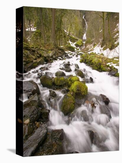 Waterfall-Darrell Gulin-Premier Image Canvas