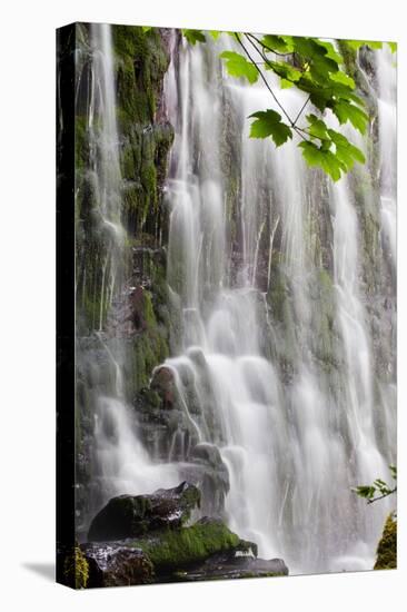 Waterfall-Mark Sunderland-Premier Image Canvas